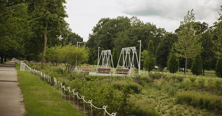 This City’s Parks are Going Organic with Ban on Synthetic Weed Killers - Featured image