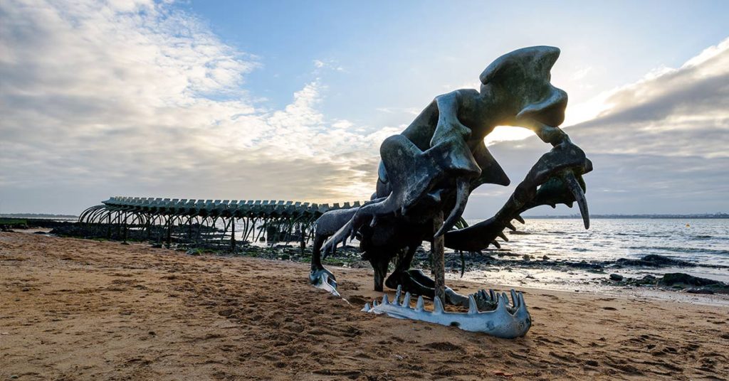 Giant ‘Serpent’ Emerges From the Sea Off the Coast of France - Featured image