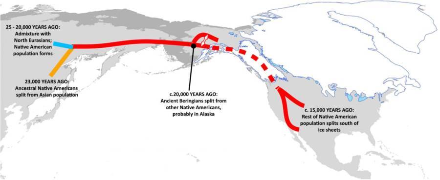 This is the Bering Strait migration pattern. Darrell had always thought his ancestors had used this path to get to North America.
