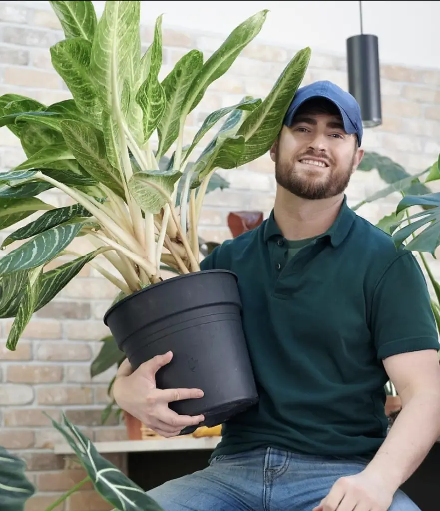 man holding potted plant