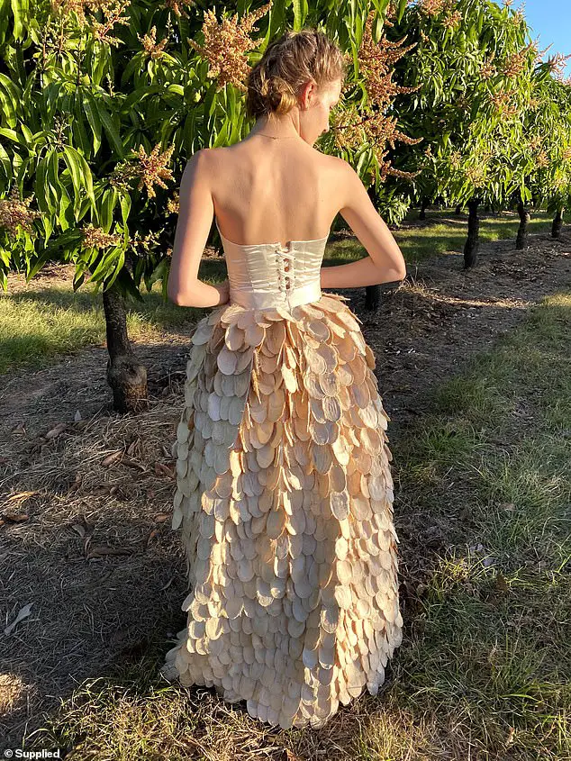 mango seed gown