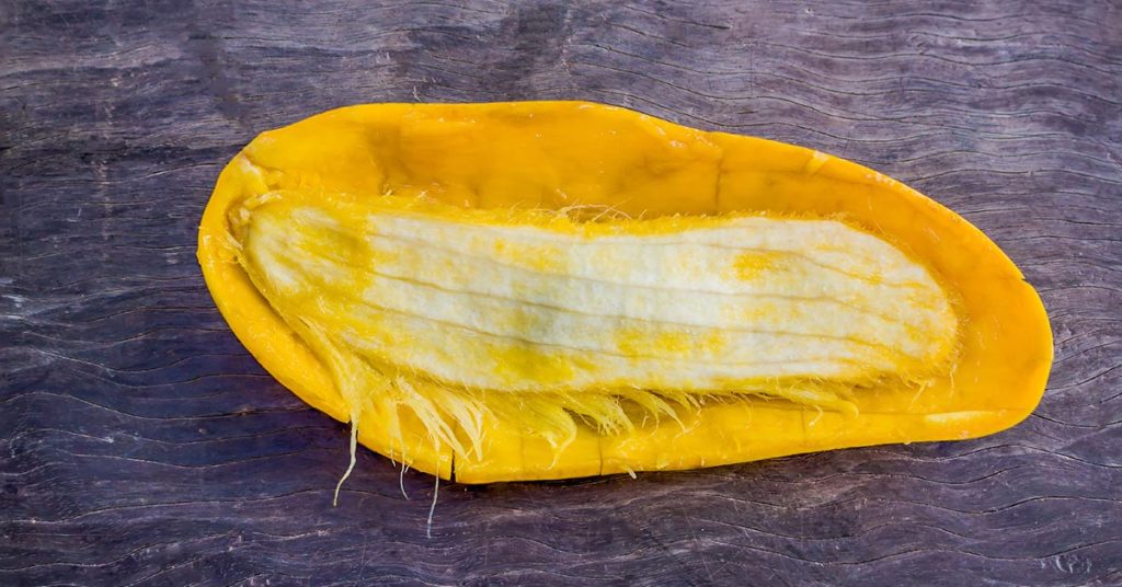 Student made a gown out of 1,400 mango seeds to highlight food waste - Featured image