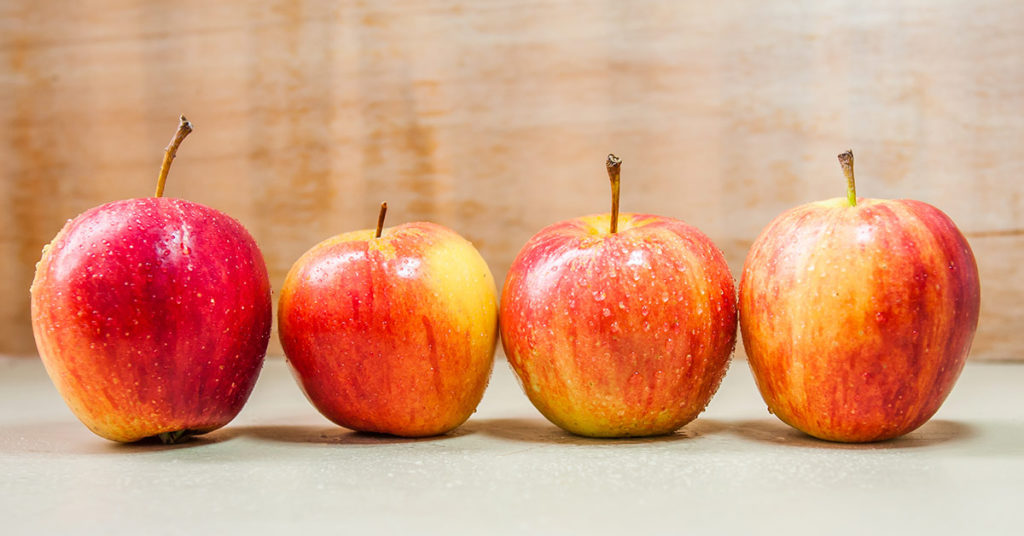 Test: Guess Which Objects Are Actually Cakes in Disguise - Featured image