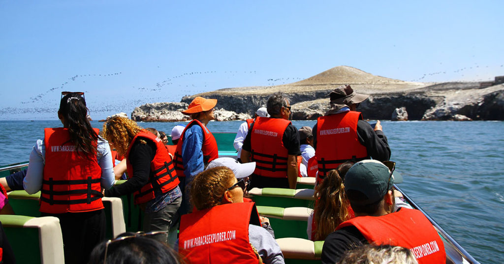 This penguin escapes a killer whale by jumping onto tour boat - Featured image