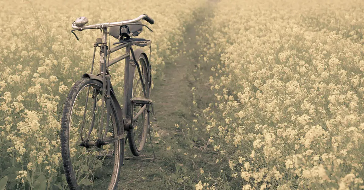 bike in a field of flowers