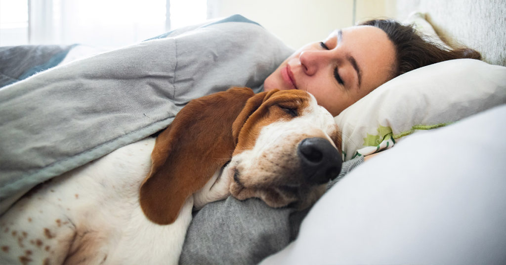 Science Shows That Women Sleep Better Next To Dogs Than Men - Featured image