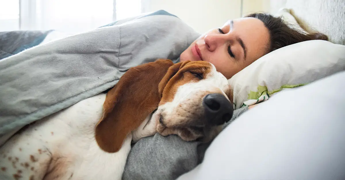 woman sleeping next to dog