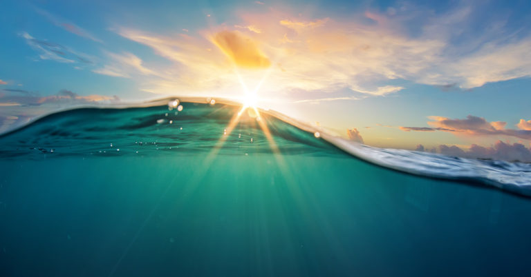 “Underwater Roombas” are sucking up decades of human waste in the Pacific - Featured image