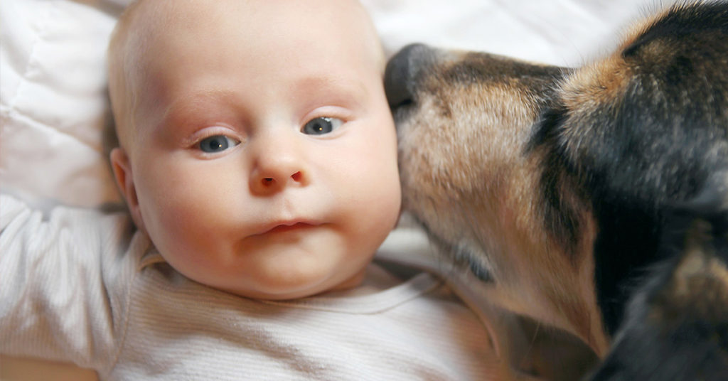 Dog Absolutely Insists That Newborn Shoot Can’t Happen Without Him - Featured image