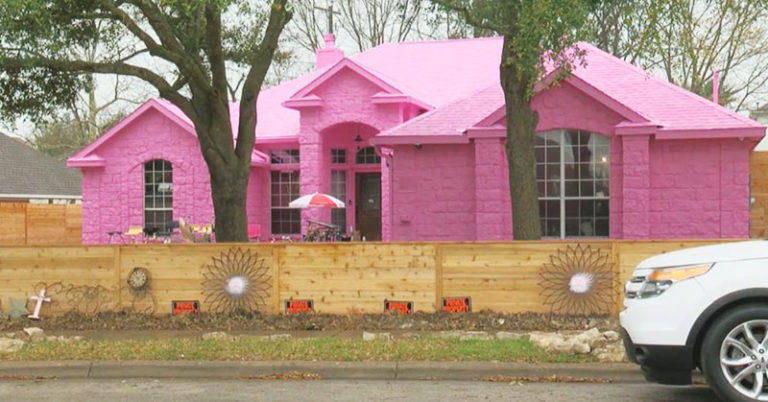 Man’s Dream Of A Bright Pink Home Is Upsetting His Neighbors - Featured image