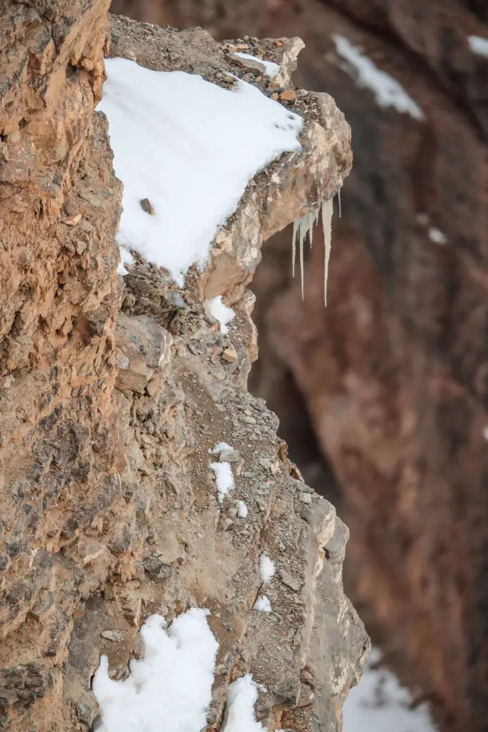 camouflaged snow leopard on a snowy cliff
