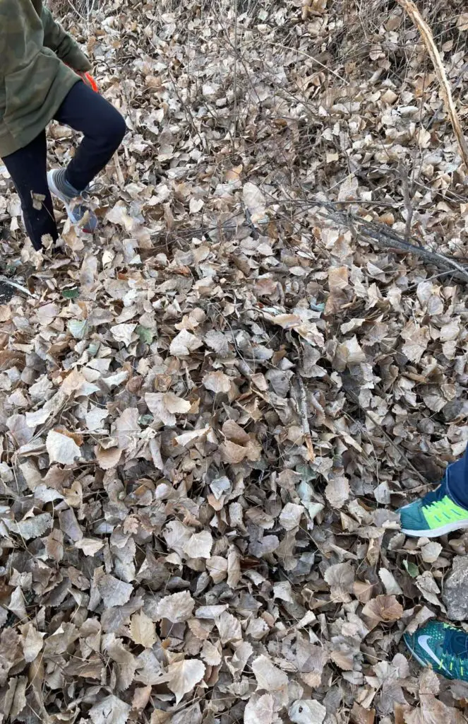 woman walking through a pile of leaves