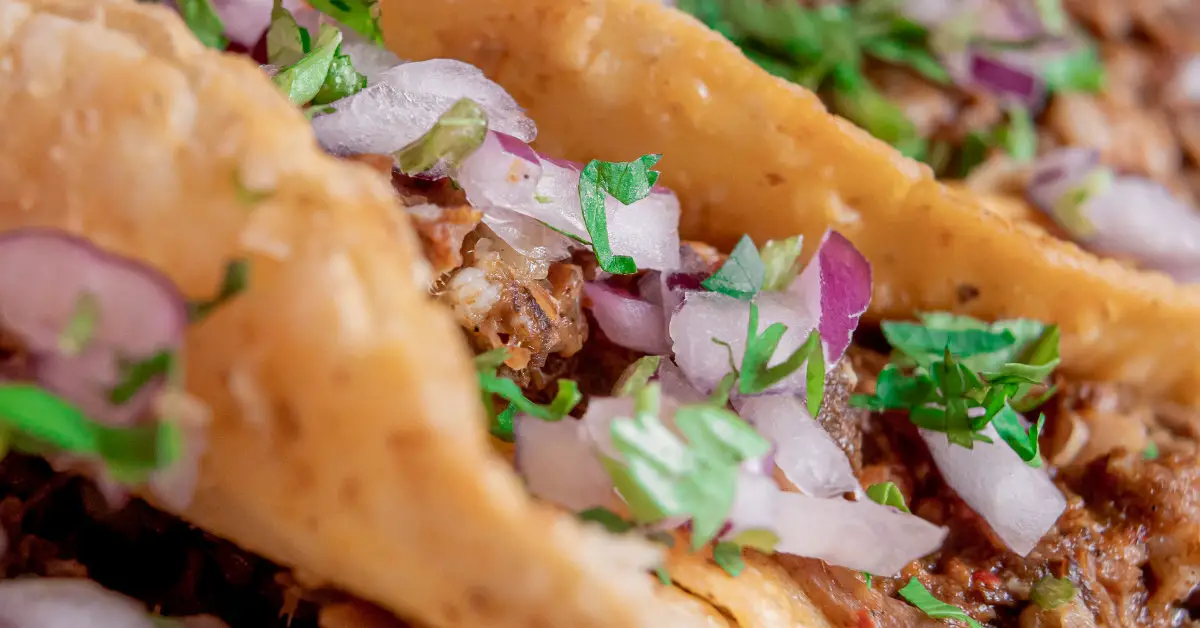 close up of a meat filled taco with onions and cilantro