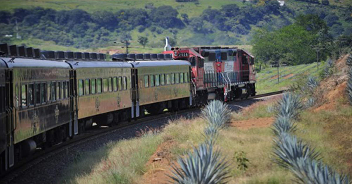 Travel through Mexico on an allyoucandrink tequila train Tiffy Taffy