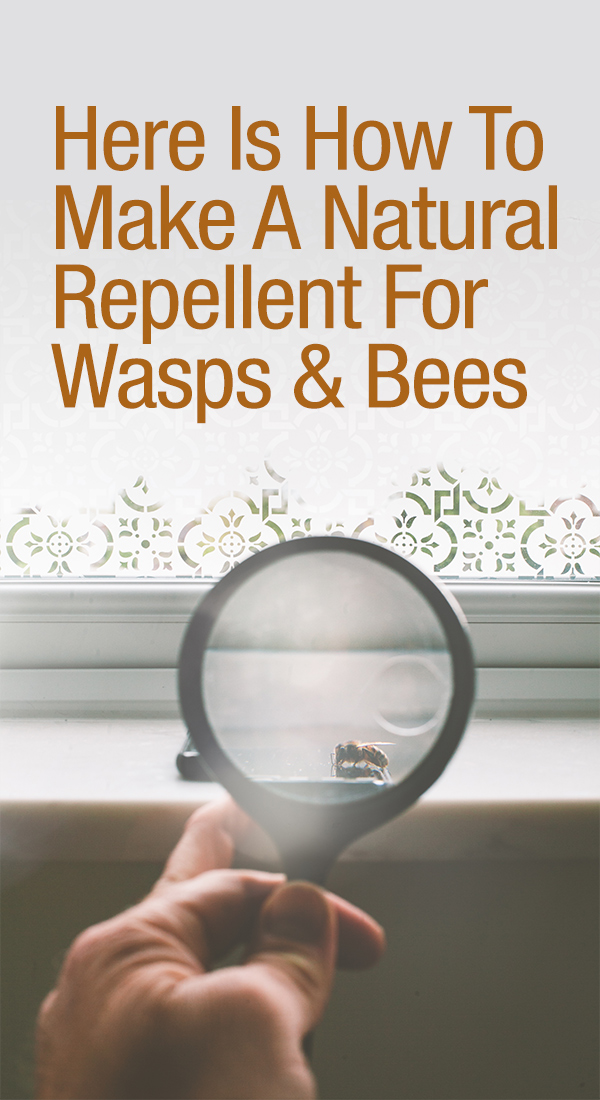 How To Make A Natural Wasp Repellent Tiffy Taffy