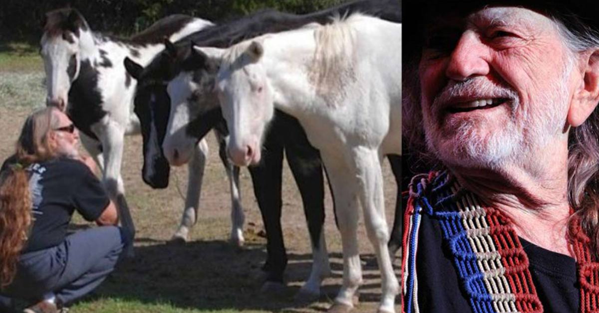 Willie Nelson Rescued 70 Horses From a Slaughterhouse and Let Them Roam ...