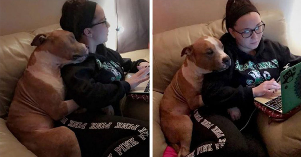 Woman Adopts Pit Bull from Shelter, and He Can’t Stop Hugging Her - Featured image
