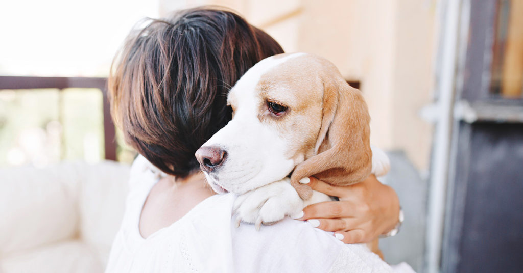 Researchers Reveal That Losing A Dog Can Be As Hard As Losing A Loved One - Featured image