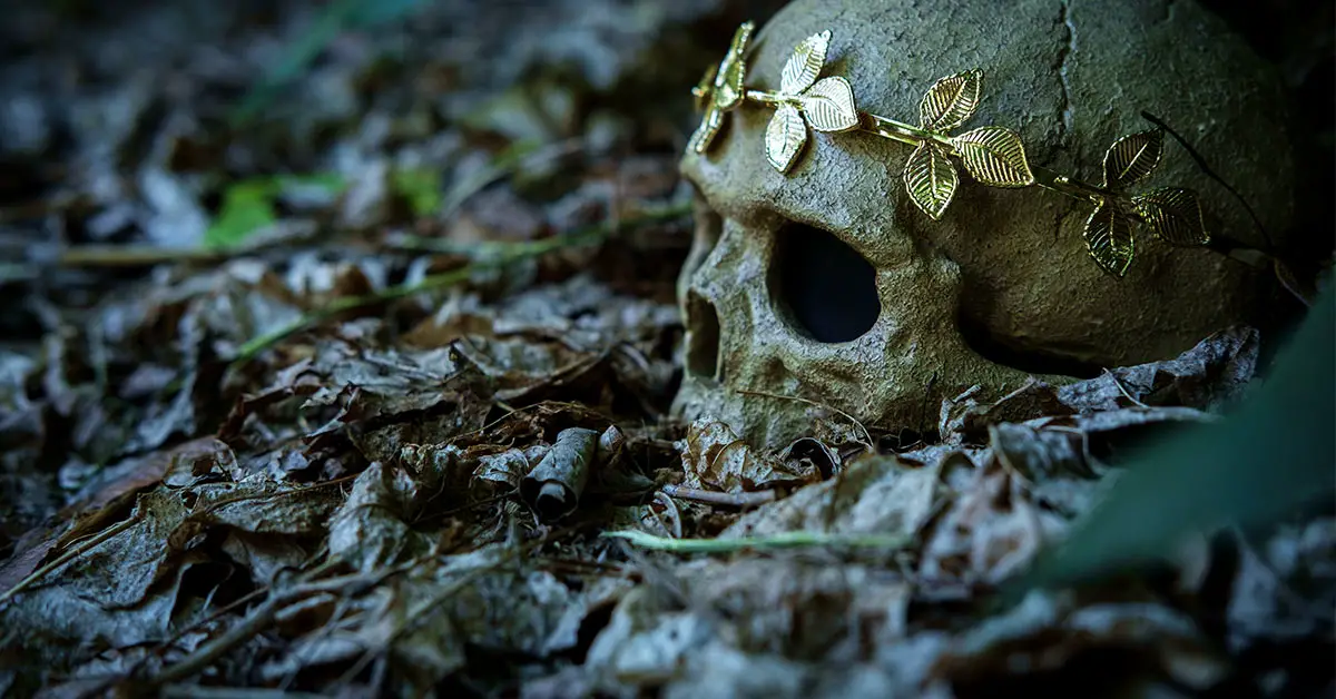 human skull laying on the ground outside