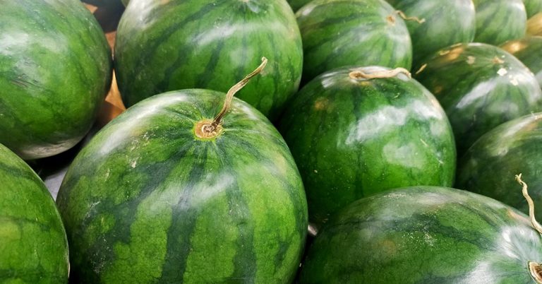 How Many Watermelons Are In This Picture? - Featured image