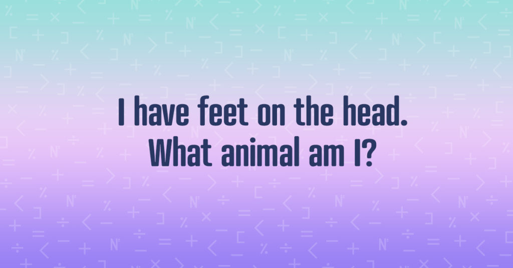 What animal am I? Riddle