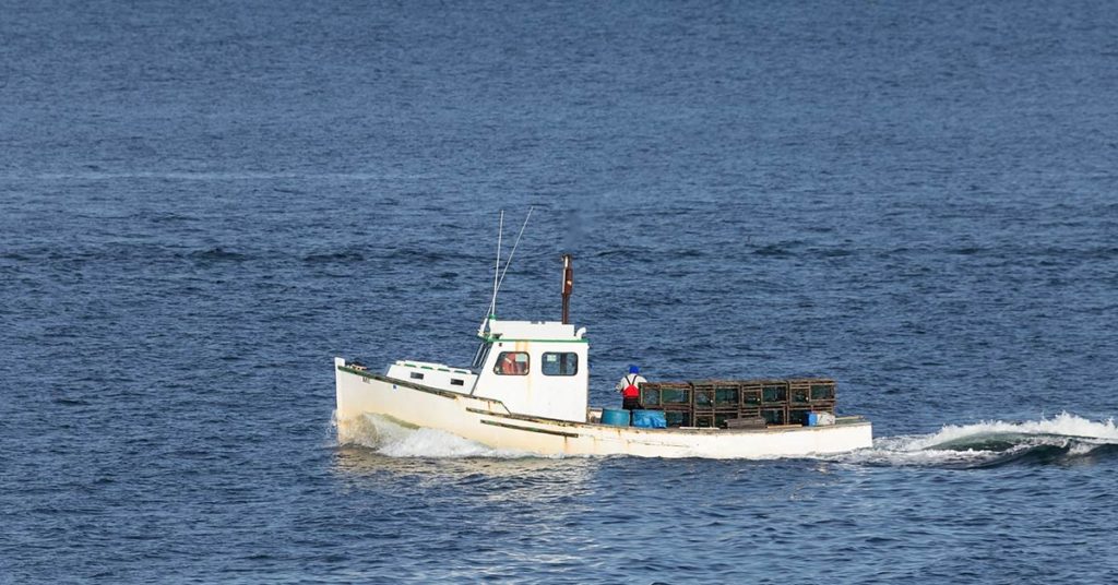 101-year-old Maine woman may be the oldest person in the world still lobstering - Featured image