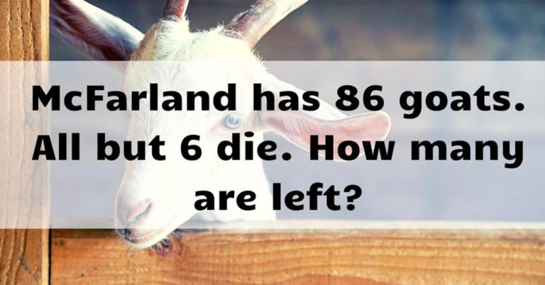 No One Can Solve All 10 Of These Impossible Riddles - Featured image