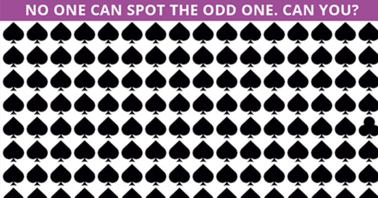 Only 5% of People Will Graduate from This Odd One Out 8-part Quiz! How Many Can You Solve In 30 Seconds? - Featured image