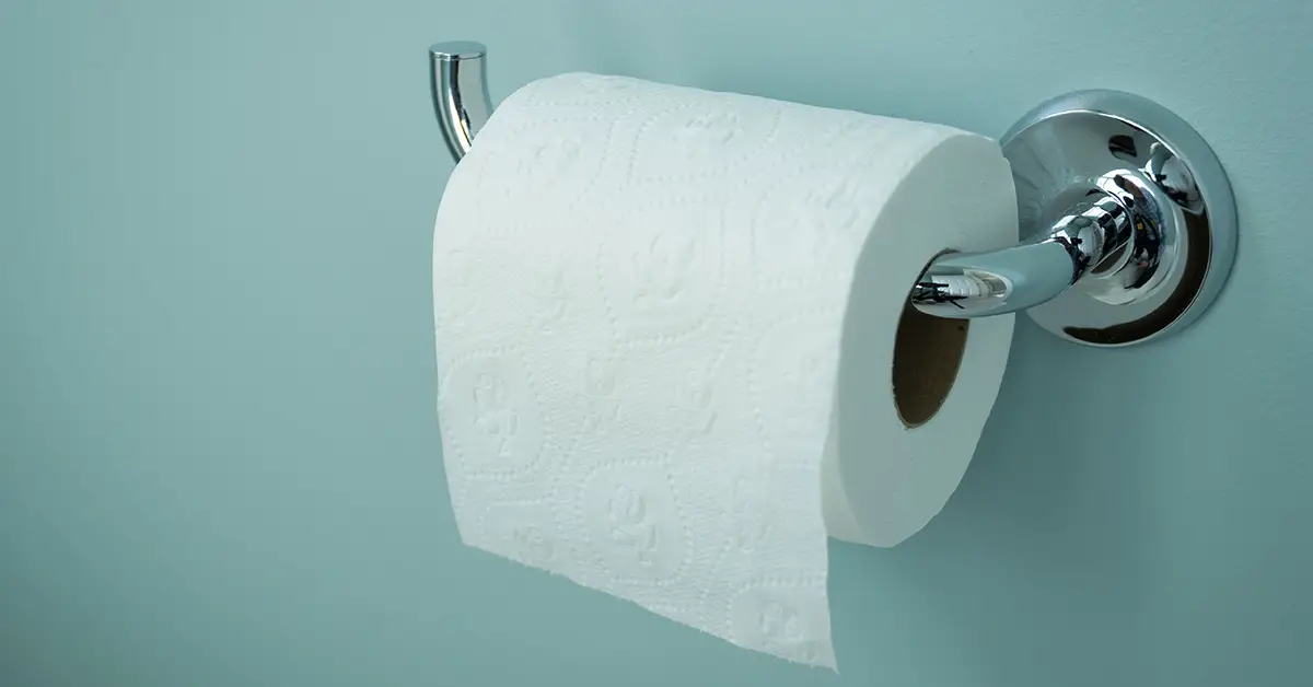 roll of toilet paper hanging from the wall