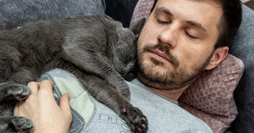 cat sleeping on man