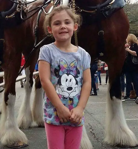 girl with horse photo bombed