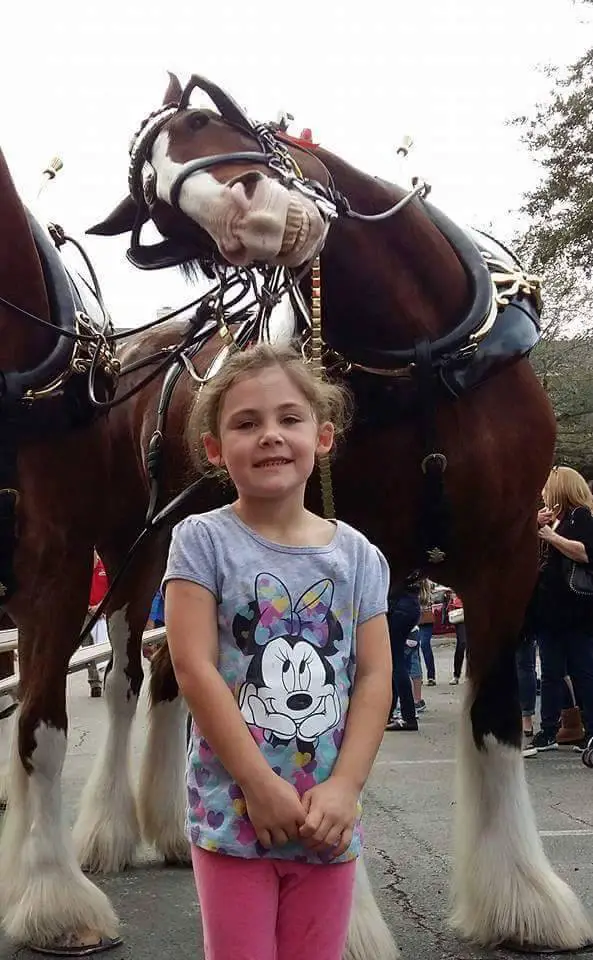 girl with horse photo bombed