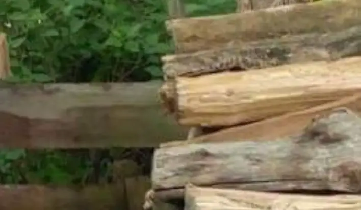 logs closeup