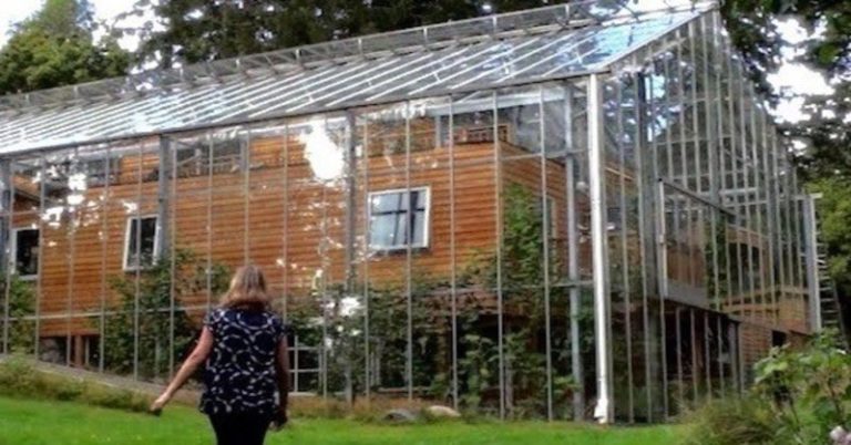 Couple builds greenhouse around home to grow food and keep warm - Featured image