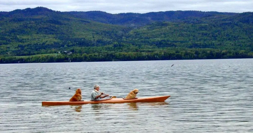 David with his dogs kayaking on a lake 