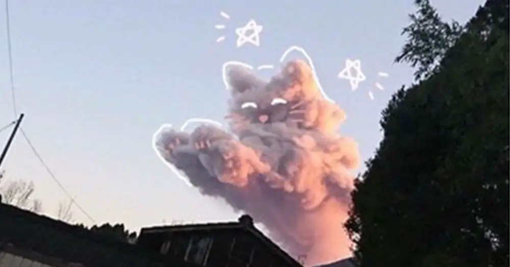 cloud cat