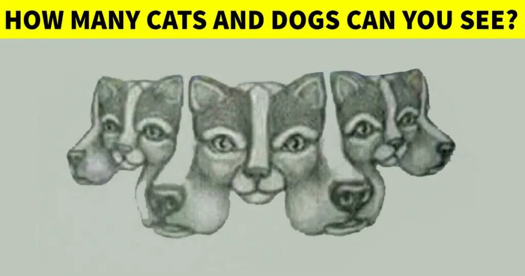 cats and dogs puzzle