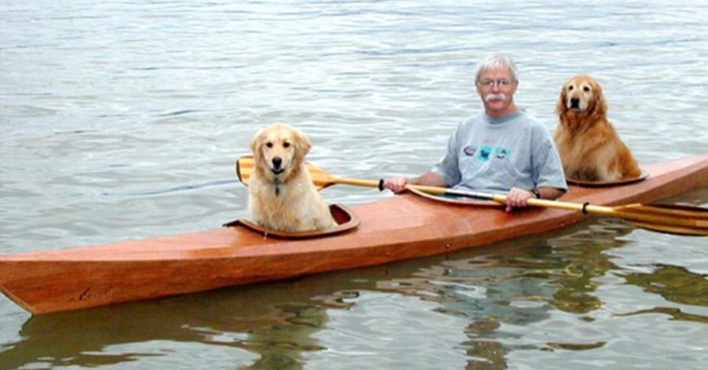 Man Built Custom Kayak to Take Adopted Dogs on Aquatic Adventures - Featured image