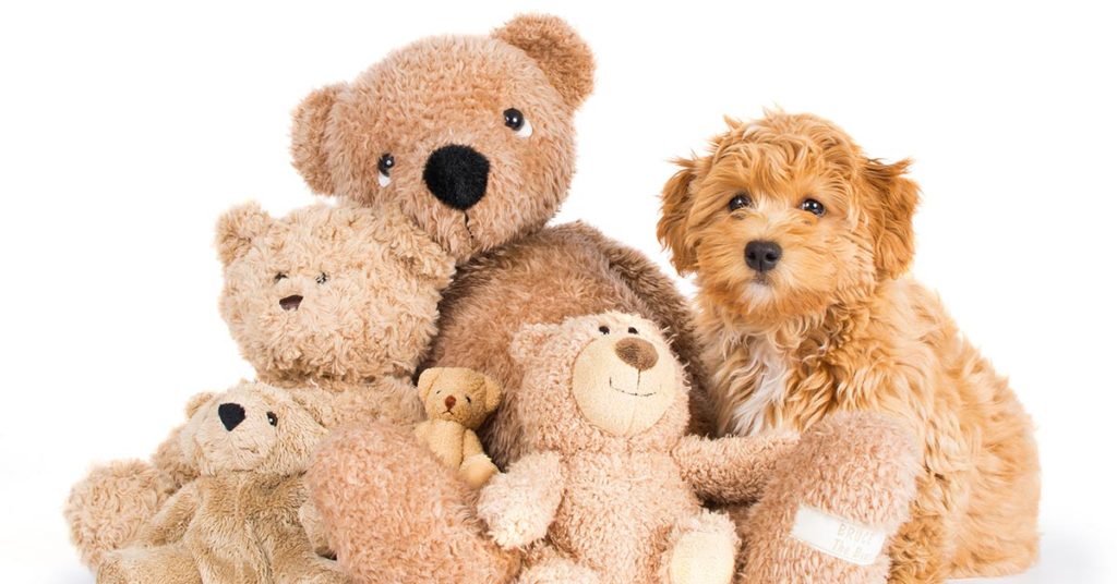 Here’s a Tricky Riddle That’s Confusing So Many People! Can You Solve It? - Featured image