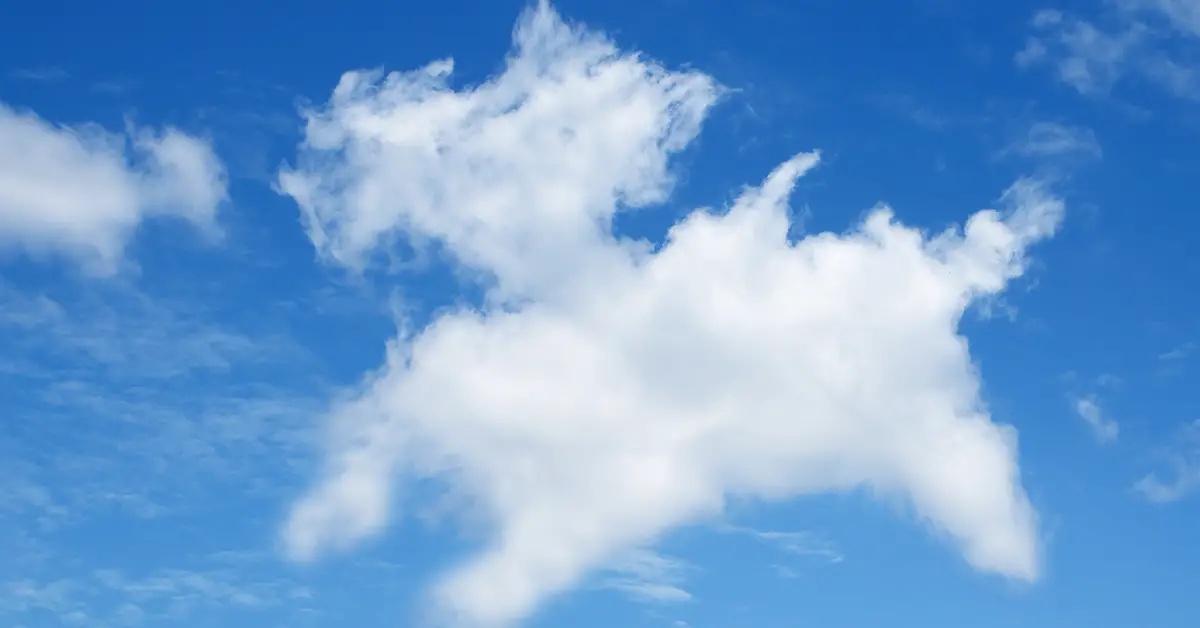 cloud looks like dog or cat