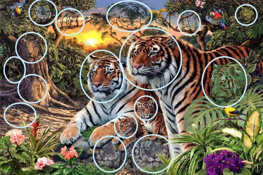 painting with multiple tigers hidden throughout. the tigers have been revealed by being circled