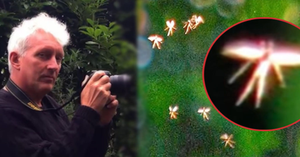 Fairy Godfather: A British Professor Believes That ‘Fairies’ Exist and He Has Pictures to Prove It - Featured image