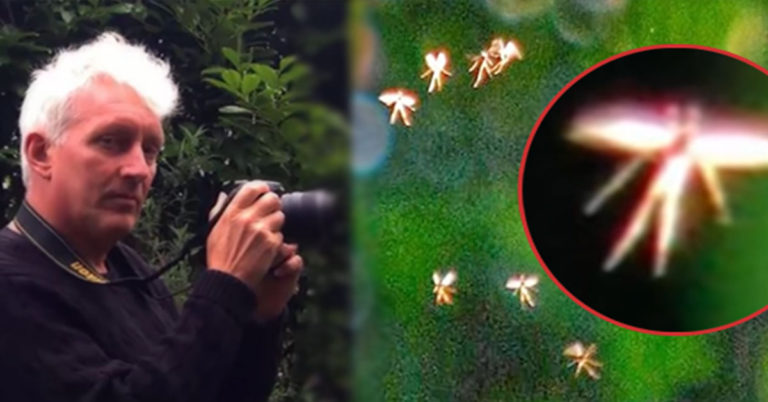 Fairy Godfather: A British Professor Believes That ‘Fairies’ Exist and He Has Pictures to Prove It - Featured image