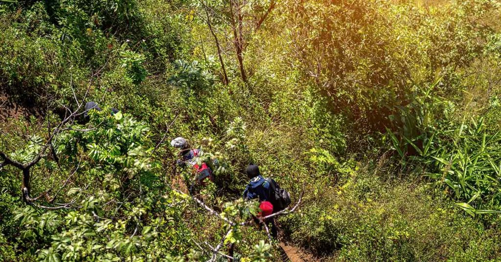 ‘Missing’ Drunk Man Spent Hours Helping a Search Party Look for Himself - Featured image