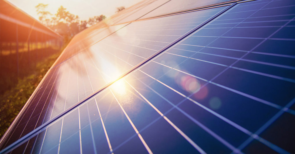 Solar panels help French winemakers protect grape varieties from climate change - Featured image