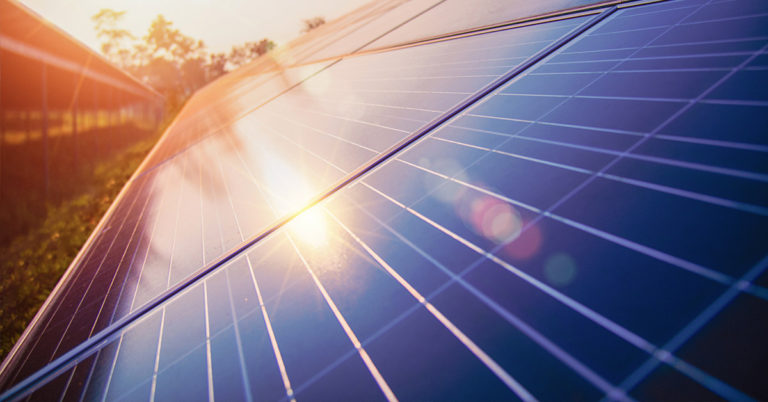 Solar panels help French winemakers protect grape varieties from climate change - Featured image