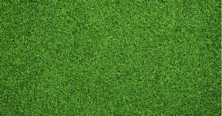 Eye Test | Can You Correctly Guess The Number Hidden In This Image? - Featured image