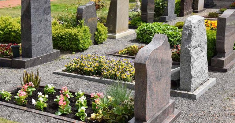 Old Man Meets Homeless Girl at Wife’s Grave, Years Later She Inherits All His Property - Featured image