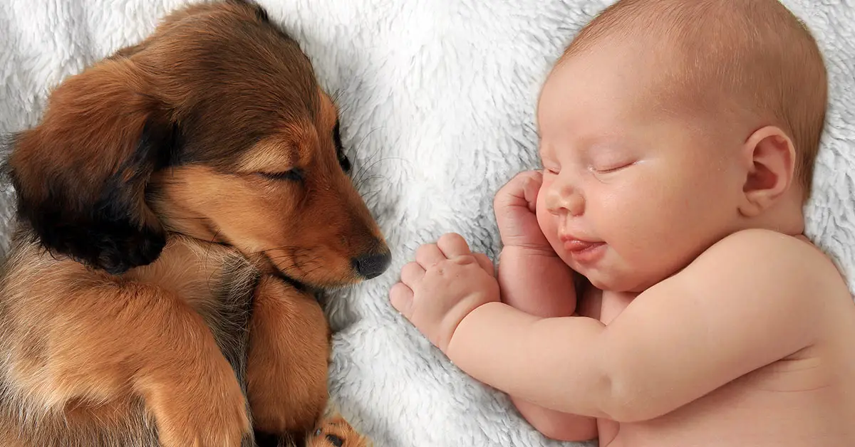 baby with puppy