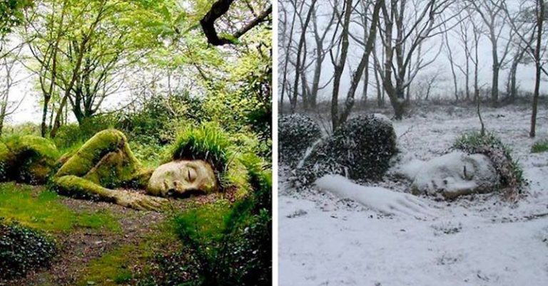 Stunning Living Sculpture Changes Its Appearance With The Seasons - Featured image